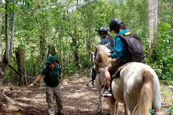 Xunantunich Horseback Riding Tour - Inclusions and Logistics