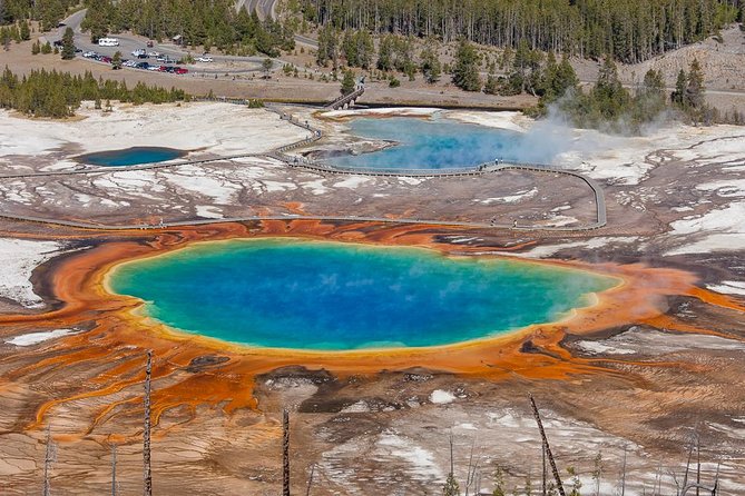 Yellowstone Lower Loop Guided Tour From Cody, Wyoming - Inclusions and Amenities