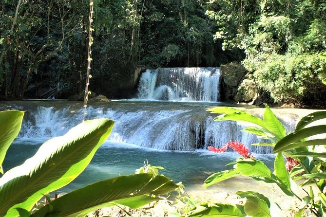 YS Falls and Black River Safari Guided Tour From Montego Bay and Grand Palladium - Whats Included