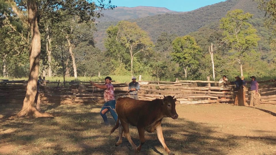 Yungas: Full Day With Gauchos - Detailed Itinerary