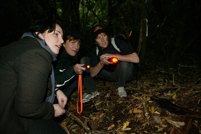 Zealandia Small Group Eco Wildlife Night Tour - Tour Duration and Inclusions