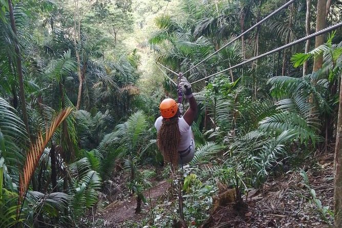 Zipline Adventure In The Rainforest - Location Details