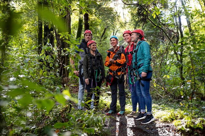 Ziplining Forest Experience - The Ultimate Canopy Tour Rotorua - Safety Guidelines and Requirements