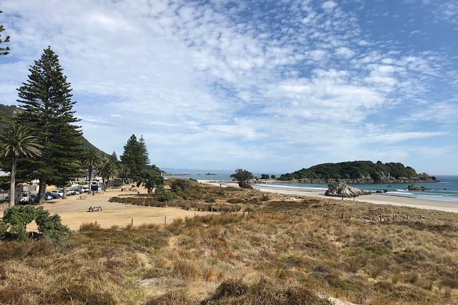 2hr Tauranga City Scenic History Tour - Key Points