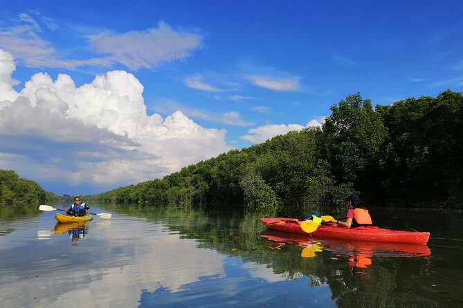 3-4 Hours Mangrove Kayaking Tour - Key Points