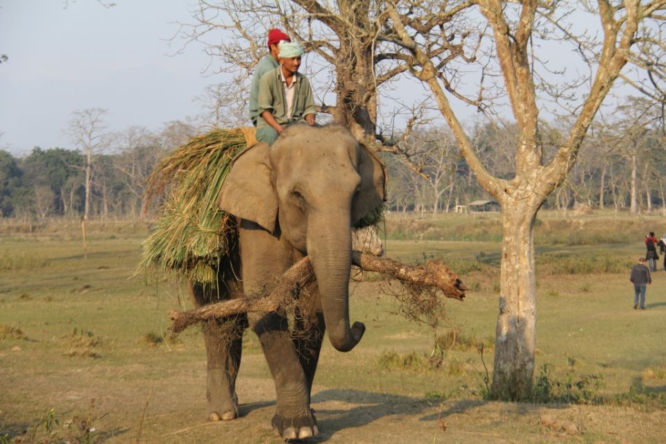 3 Day Nepal Chitwan Jungle Safari Tour From Kathmandu - Key Points