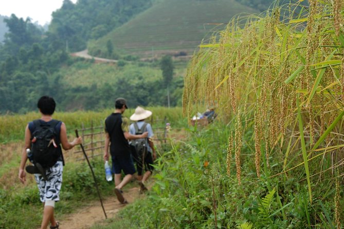 3-Day Trek in Amazing Muong Hoa Valley & Ethnic Homestay - Overview of Muong Hoa Valley