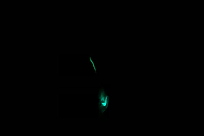 3 Hour Glow Worm Sunset Cruise From Providenciales - Bioluminescence Experience