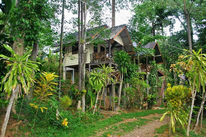 1 Day Khao Sok Jungle Safari and 2 Days Cheow Lan Lake Explorer From Krabi - Daily Itinerary
