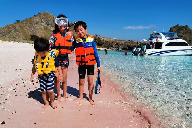 1 Day Komodo Trip By Shared Luxury Fast Boat - Pickup and Redemption