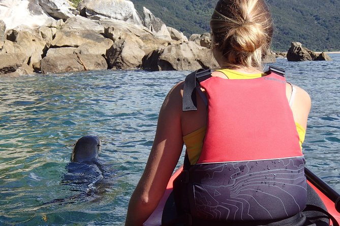 1 Day Sea Kayak Rental - Health and Safety Guidelines