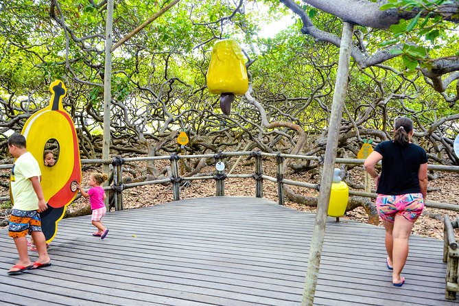 1 Day Tour to the South Coast With Lagoa / RN - Leaving Natal / RN - Traveler Experiences