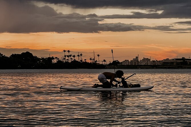 1-Hour Condado Lagoon Paddleboard Rental in San Juan - Booking Information