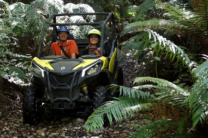 1 Hour Enchanted Forest Track - BUGGIES - Meeting Point
