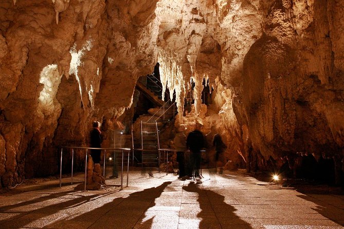 1-Hour Guided Tour of Aranui Cave Waitomo - Tour Itinerary