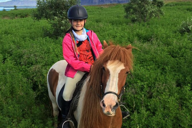 1+ Hour Private Horse Riding Tour From Reykjavík/Mosfellsbær - Guest Experiences and Reviews