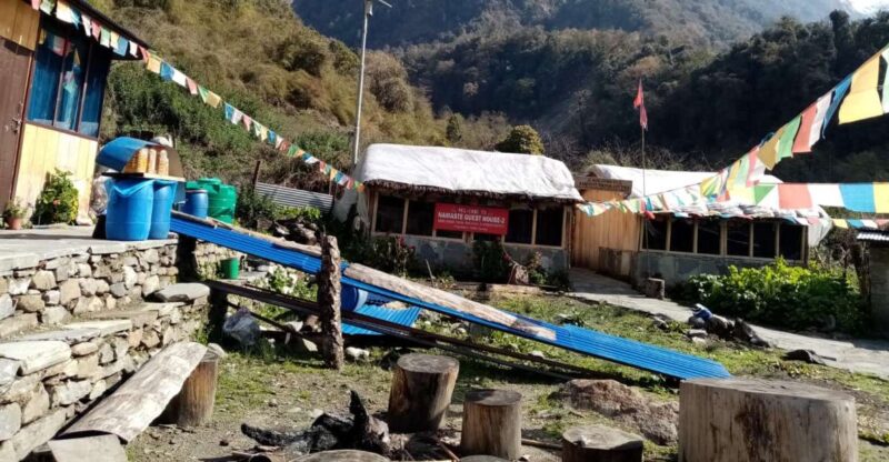 1 Night 2 Day Kapuche Glacier Lake Trek From Pokhara - Included Services