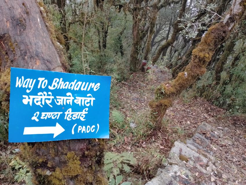 1 Night 2 Day Panchase Trek From Pokhara - Trekking Route Description