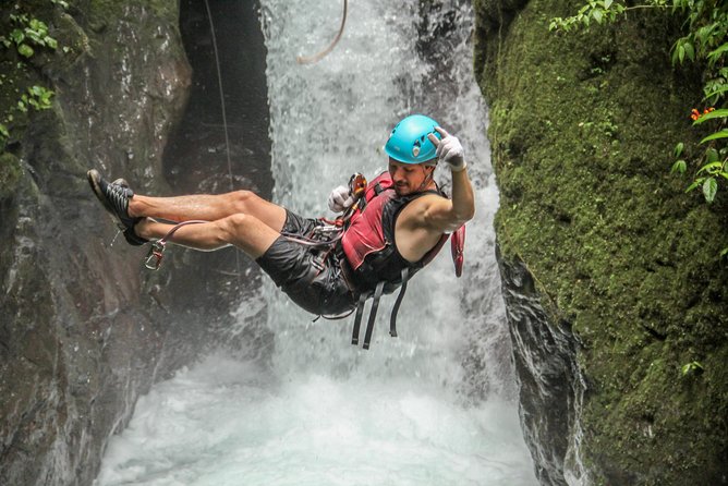 10 in 1 Tour! Zip Lines, Rappels, Tarzan Swing, Waterfalls & More - Wildlife Encounters