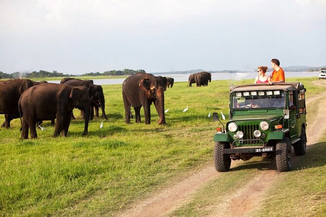 11 Days;Glamour of Sri Lanka - Culinary Delights