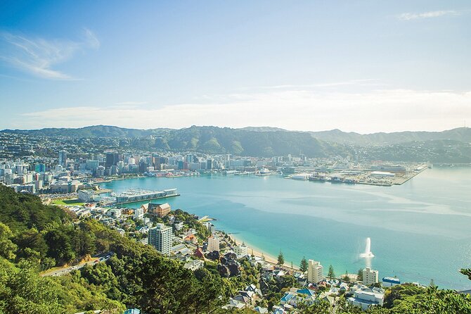 15-Minute Wellington Harbour Helicopter Flight - Flight Details