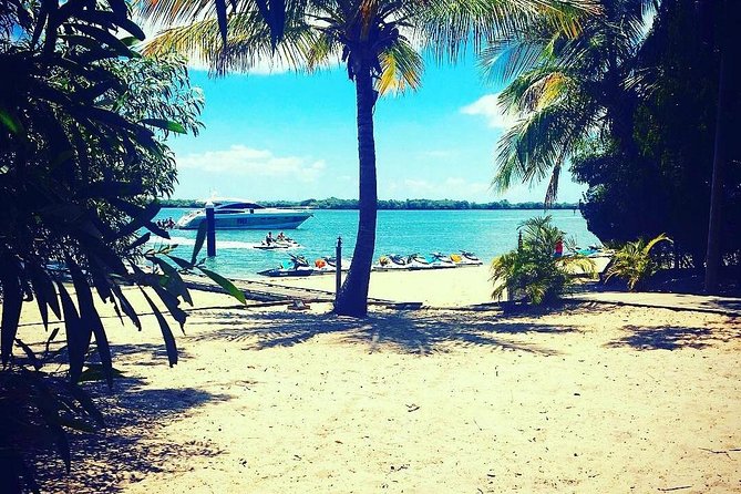 2.5 Hr Jet Ski Safaris Tour - Ultimate Adventure + Island Stop - Safety and Equipment
