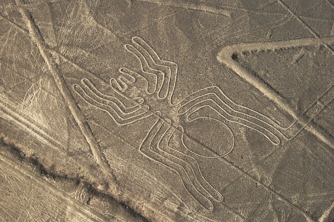 2 Day Tour From Lima: Nazca Lines Flight, Paracas, and Huacachina - Traveler Restrictions