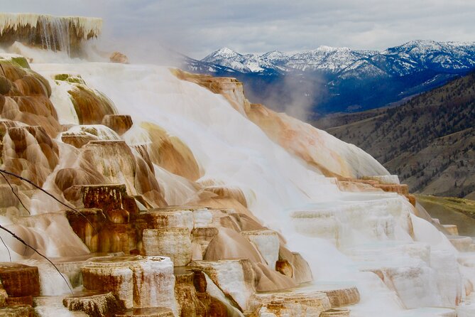 2-Day Yellowstone National Park Upper and Lower Loop Exploration - What to Expect