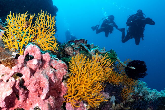 2 Days & 1 Night - 2 Dives in Lembongan/Penida (For Certified Divers) - Underwater Digital Cameras