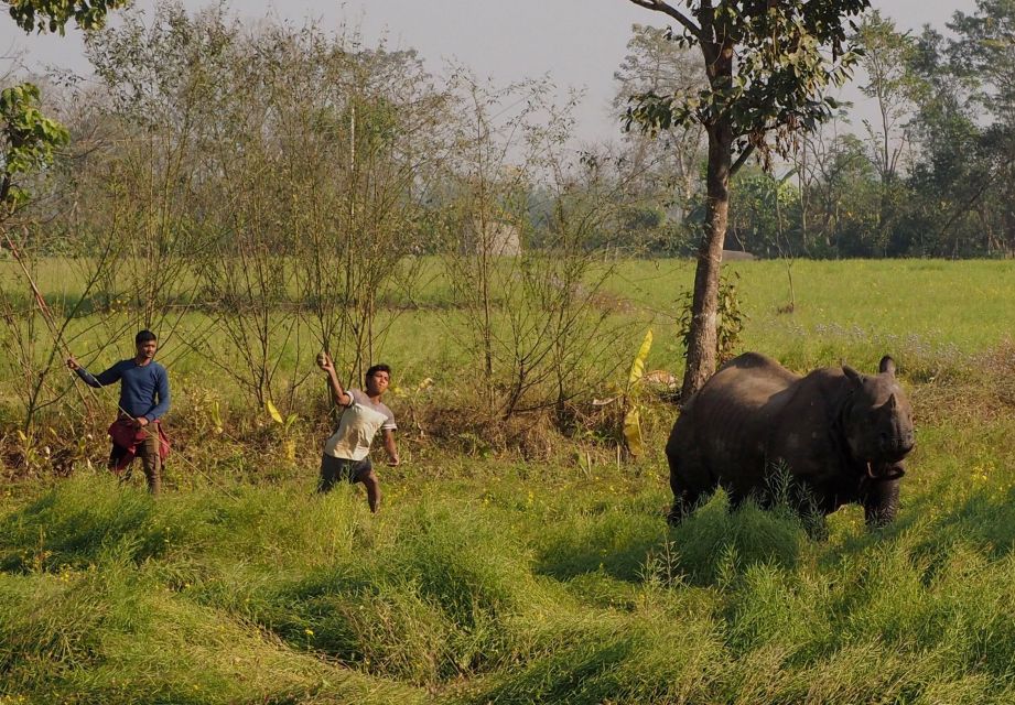 2 Days Chitwan Safari Tour - Day 2 Itinerary