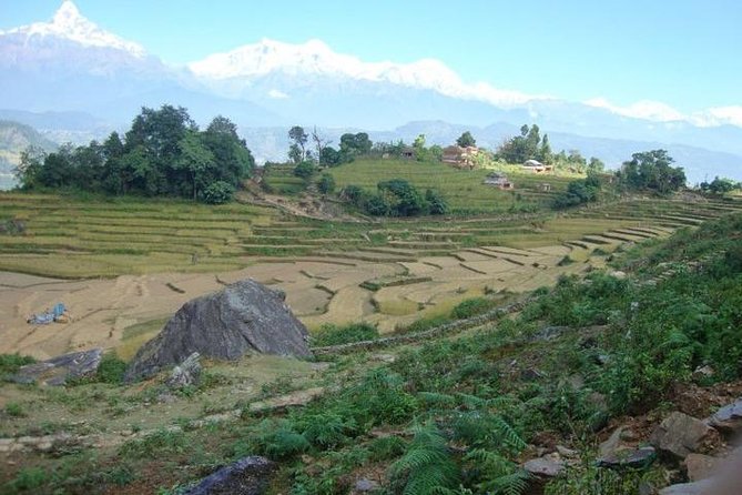 2 Days Panchase Hill Trek From Pokhara - Pickup and Departure Details