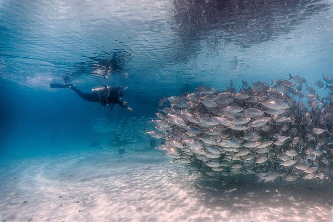 (2 Dives) Discover Scuba Diving Kota Kinabalu - Whats Included in the Experience