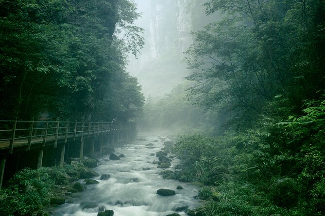 2 Full Days Zhangjiajie National Forest Park & Glass Bridge Tour - Tour Requirements and Accessibility