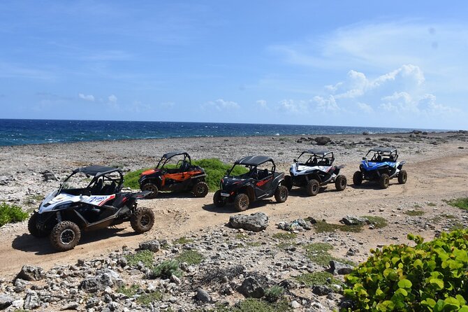 2-Hour Buggy Adventure Tour in Curacao - Health and Safety Guidelines
