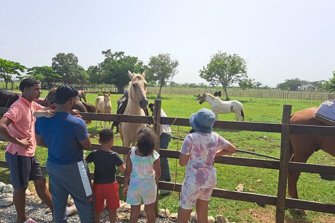 2-Hour Horseback Riding Tour at Sunset From Punta Cana - Meeting and Pickup Details