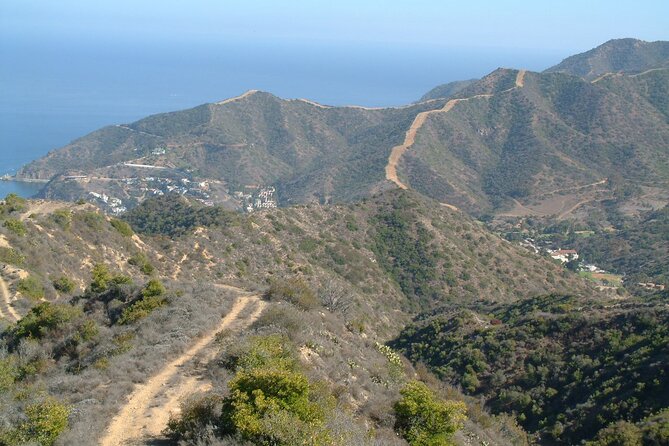 2 Hour Inside Adventure Tour on Catalina Island - Tour Inclusions