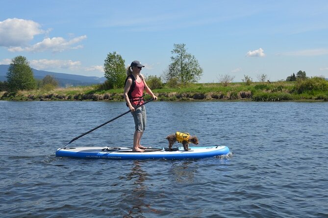 2-Hour Private Kayak or Paddleboard Tour in Cabarete La Boca - Meeting Location