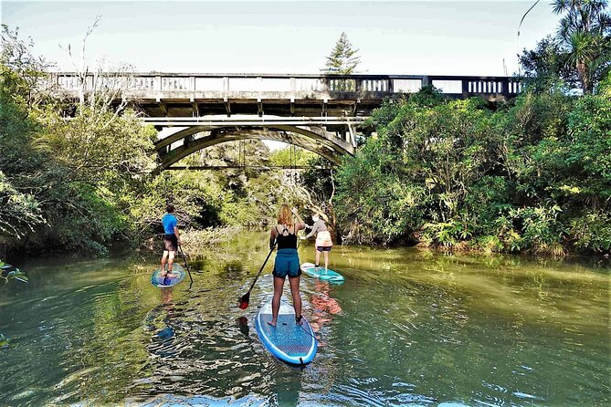 2-Hour Stand-Up Paddle Boarding Tour to Lucas Creek Waterfall - Safety Guidelines
