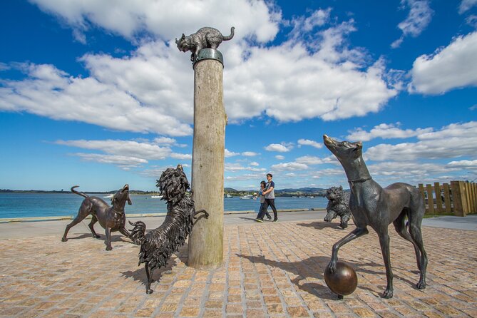 2-Hour Tauranga & Mount Maunganui City & Scenic Local Tour - Customer Feedback Insights
