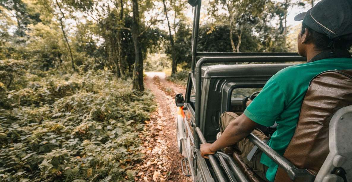2 Night 3 Day Chitwan Jungle Safari Tour Package - Day 1 Activities