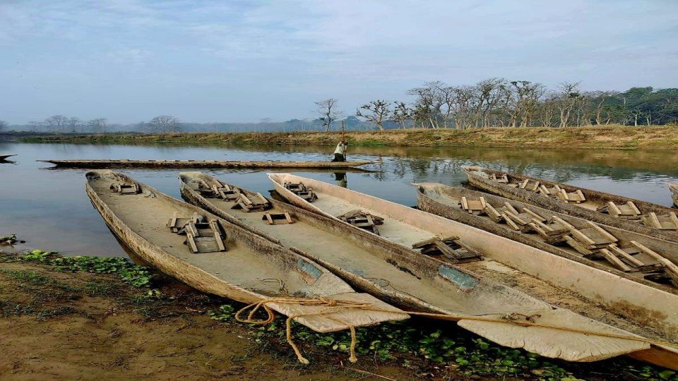 2 Nights 3 Days Chitwan Jungle Safari Tour - Day 1 Highlights
