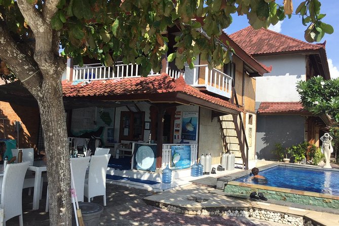 2 or 3 Dives in Nusa Lembongan and Penida, for Certified Diver (In Lembongan) - Inclusions and Gear