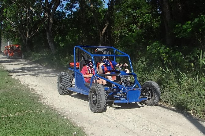 2 Person Buggy Tour - Customer Experiences and Feedback
