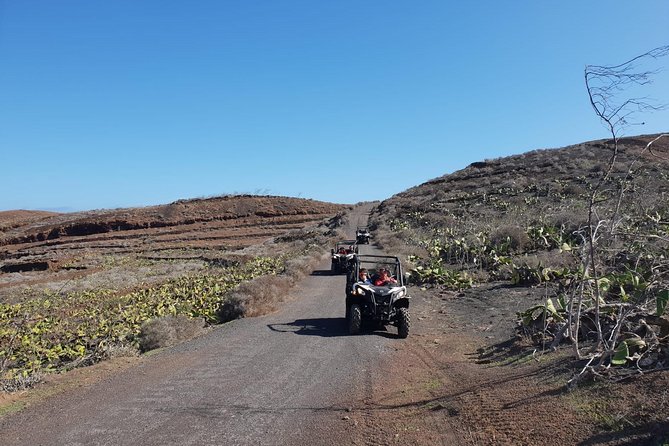 2h Buggy Tour Guided by the North of Lanzarote - Suitability and Requirements