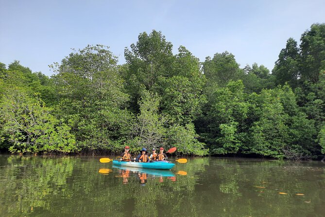 3-4 Hours Mangrove Kayaking Tour - Meet Your Guide