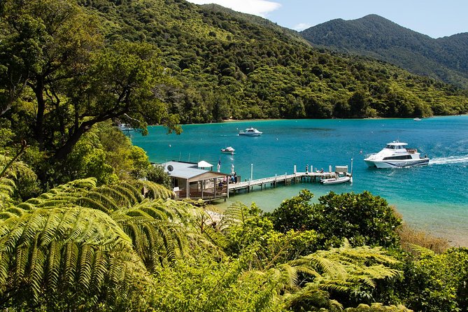 3.5 Hour Marlborough Sounds Delivery Cruise - Pricing and Booking Details