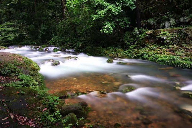 3-Day Private Zhangjiajie In-depth Exploring Tour - Schedule and Availability
