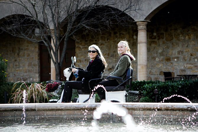 3-Hour Guided Wine Country Tour in Sonoma on Electric Trike - Accessibility and Participation Details