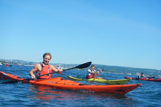 3- Hour Kayak Tour on the Oslofjord - Professional Guidance