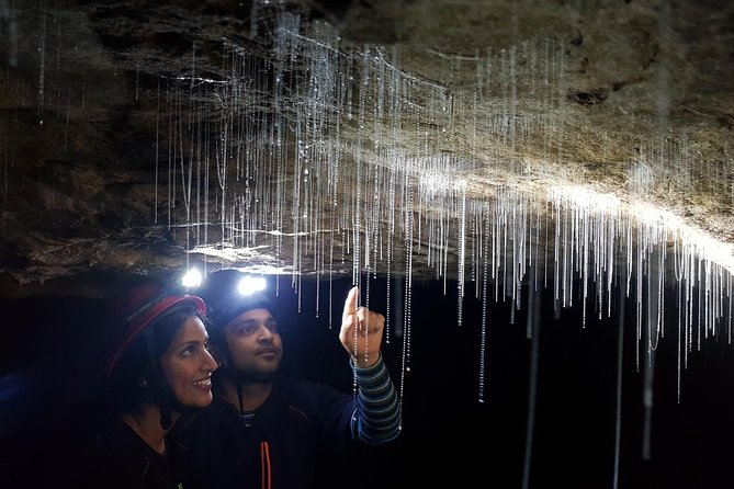 3-Hour Private Photography Tour in Waitomo Caves - Inclusions and Amenities